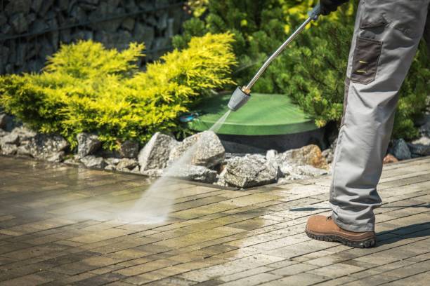Best Winterizing Services  in Hedwig Village, TX