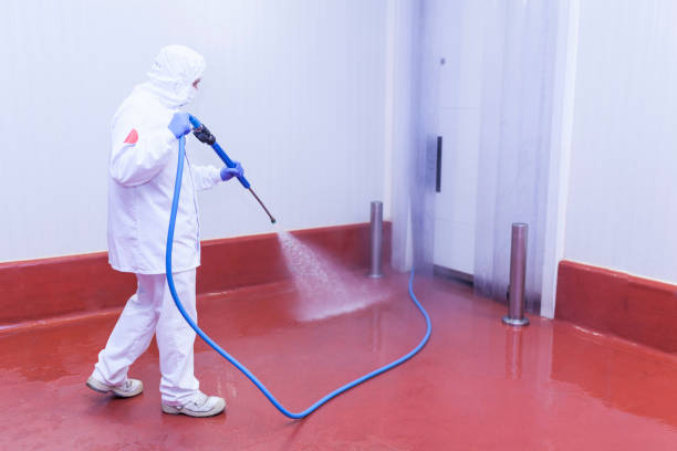 Best Dumpster Area Cleaning  in Hedwig Village, TX